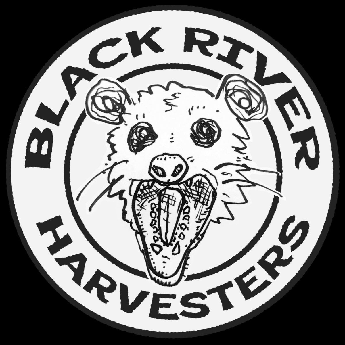 Black River Harvesters Playing at Ellie Ray's RV Resort and Campground